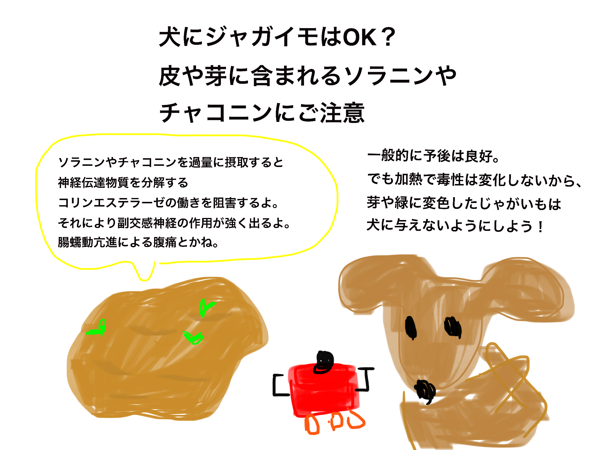 犬猫のジャガイモ中毒