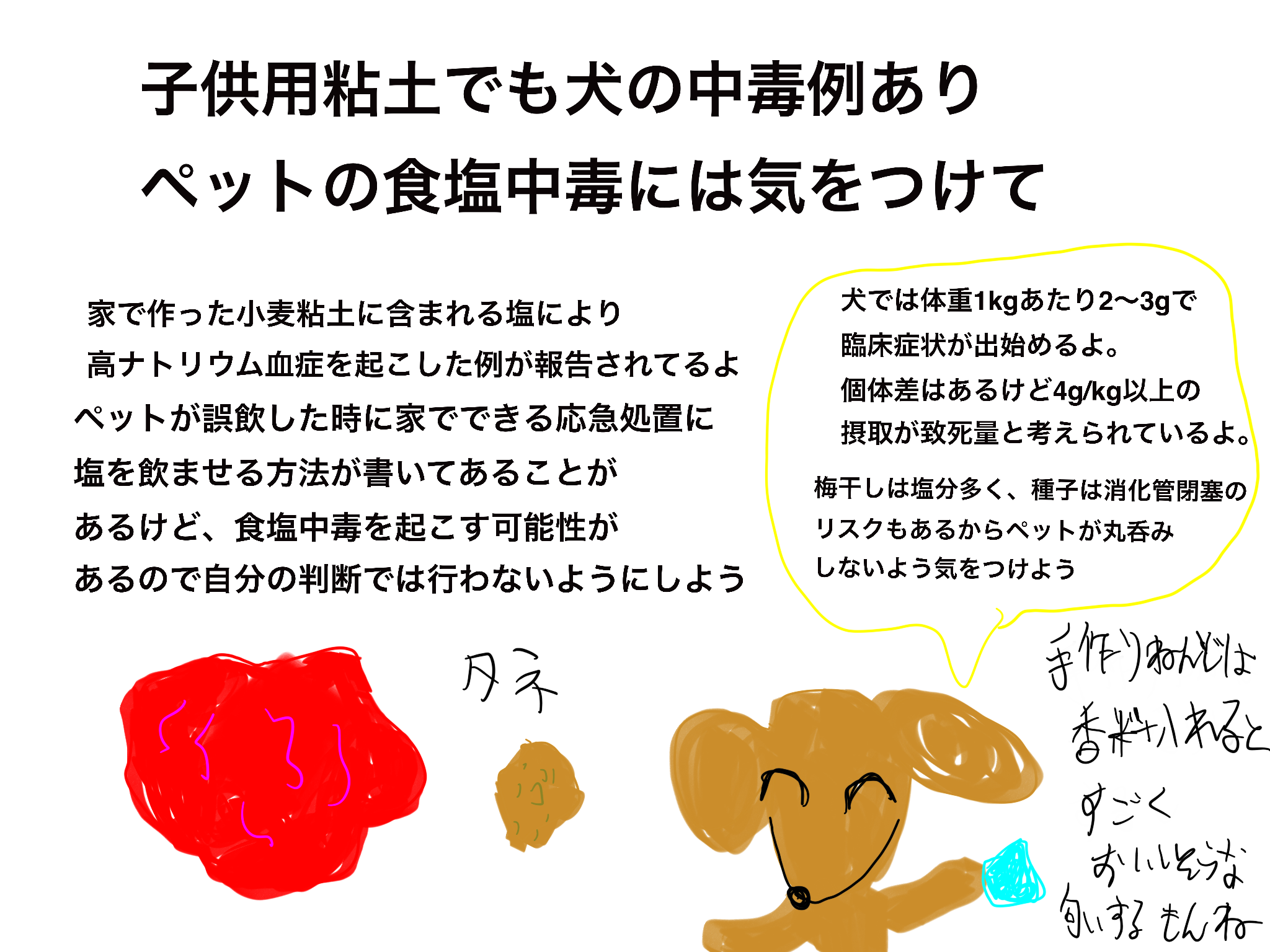 食塩が多く含まれる物質を誤飲すると高ナトリウム血症に起因する食塩中毒を起こす可能性があります。